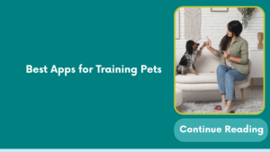 Best Apps for Training Pets