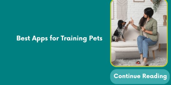 Best Apps for Training Pets