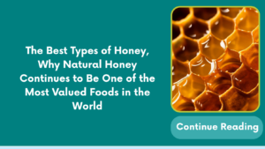The Best Types of Honey, Why Natural Honey Continues to Be One of the Most Valued Foods in the World