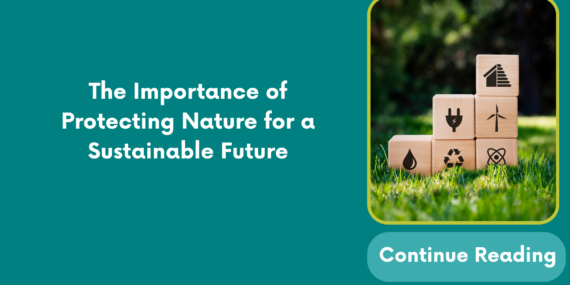 The Importance of Protecting Nature for a Sustainable Future